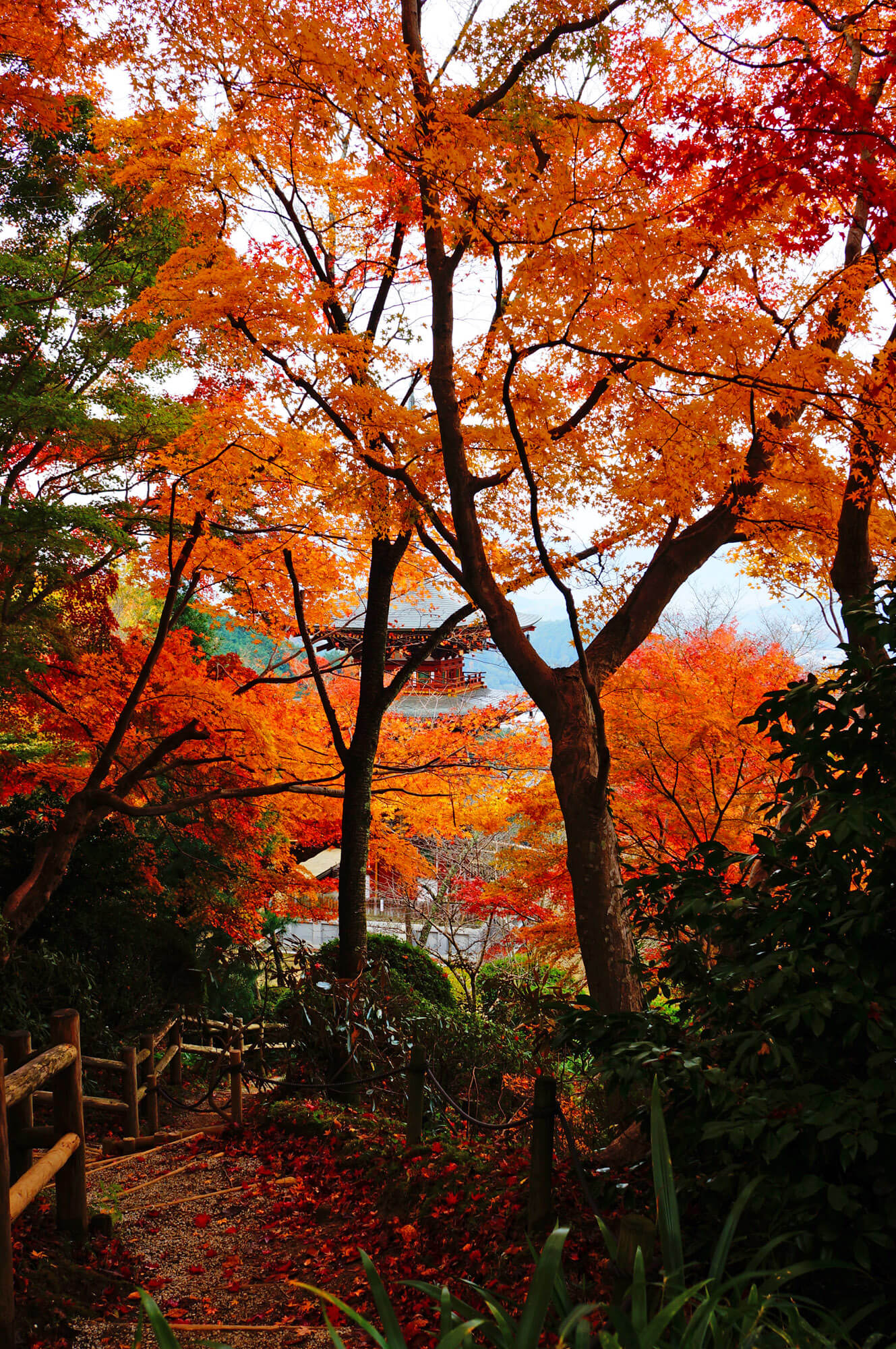 写真館｜日本最初やくよけ霊場・西国第七番 岡寺