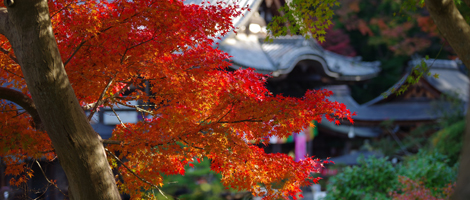 日本最初やくよけ霊場　｜　年中行事