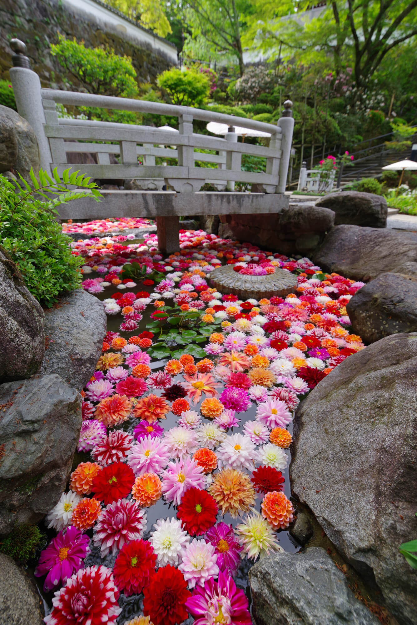 写真館 日本最初やくよけ霊場 西国第七番 岡寺