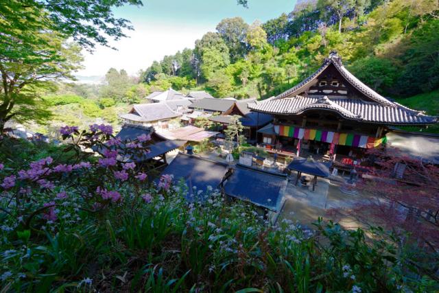 岡寺の歴史 日本最初やくよけ霊場 西国第七番 岡寺 岡寺の歴史 日本最初やくよけ霊場 西国第七番 岡寺