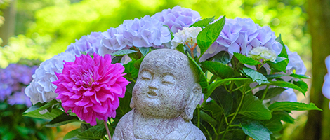 日本最初やくよけ霊場　｜　年中行事